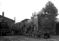 D62.jpg