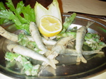DSC03093.JPG
