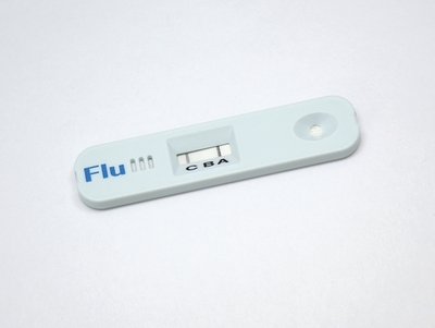 checkflue.jpg
