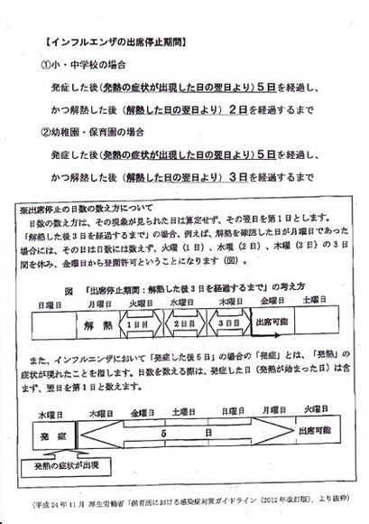 flue12.jpg