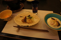 gat07.jpg
