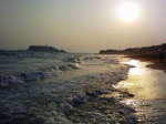 gour07.jpg