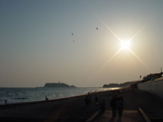gour08.jpg