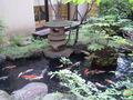 gyunabe03.jpg