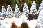 snow1.jpg