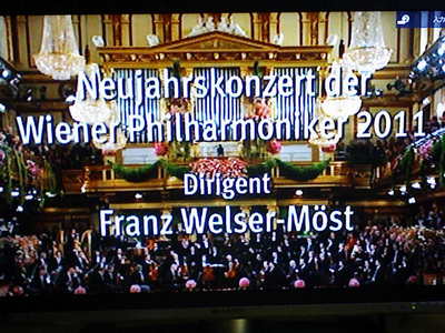 wien1.jpg
